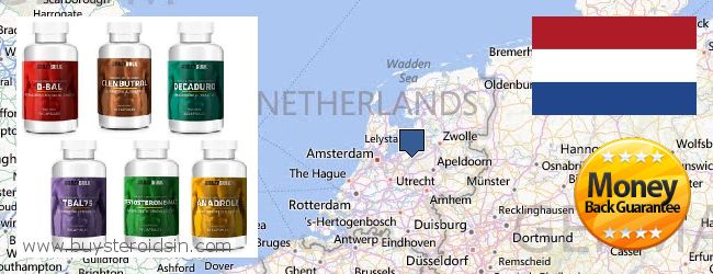 Dónde comprar Steroids en linea Netherlands
